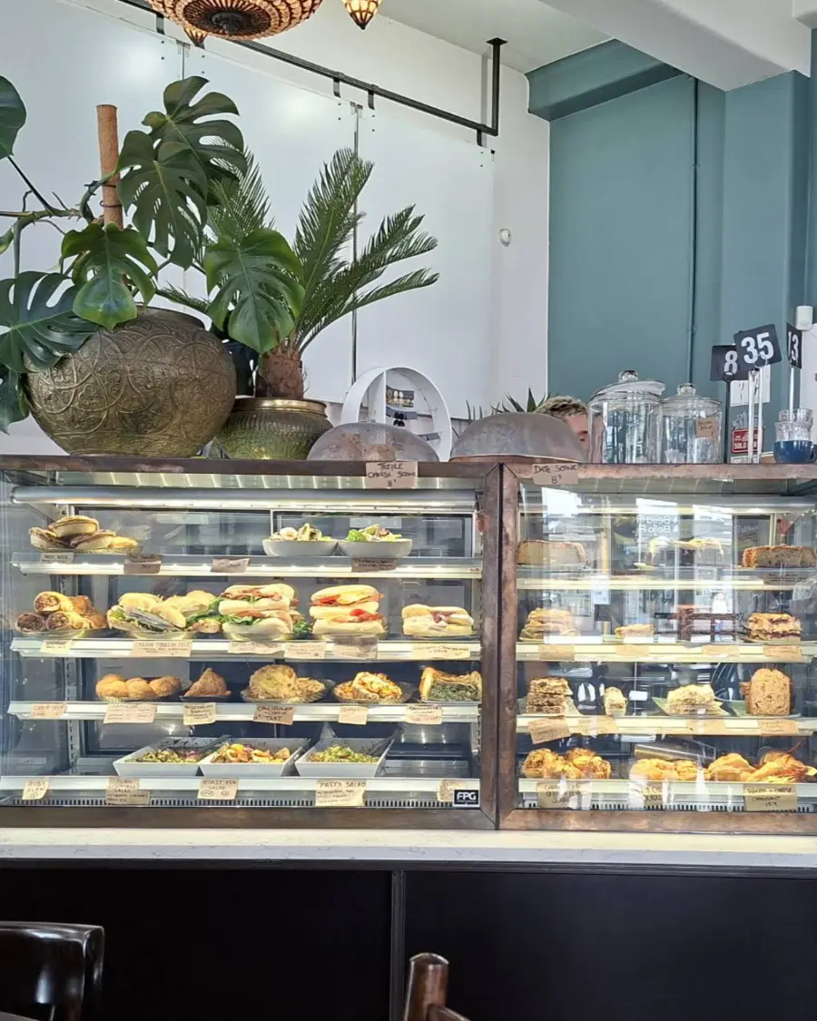 Ajuna's counter: a bronze-framed glass cabinet of rolls, toasted sandwiches and slices, monstera and palms in brass urns, the drinks board on a teal wall